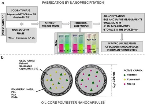 A The Illustrative Scheme Of The Fabrication And Characterization Of