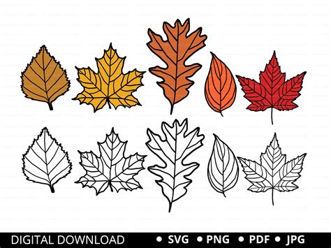 Fall Leaf Patterns Printable