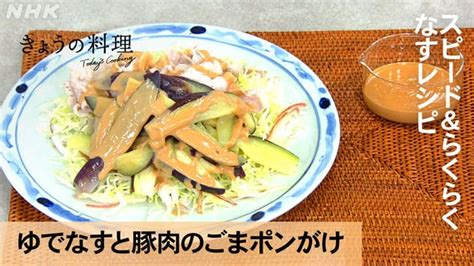 【きょうの料理】「ゆでなすと豚肉のごまポンがけ」の作り方｜スピード＆楽々なすレシピ 知っ得レシピ