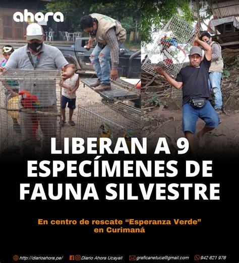 Liberan a 9 especímenes de fauna silvestre Diario Ahora