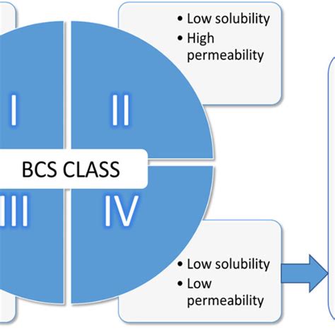 Bcs Classification System With Examples Of Bcs Class Iv Drugs Download Scientific Diagram