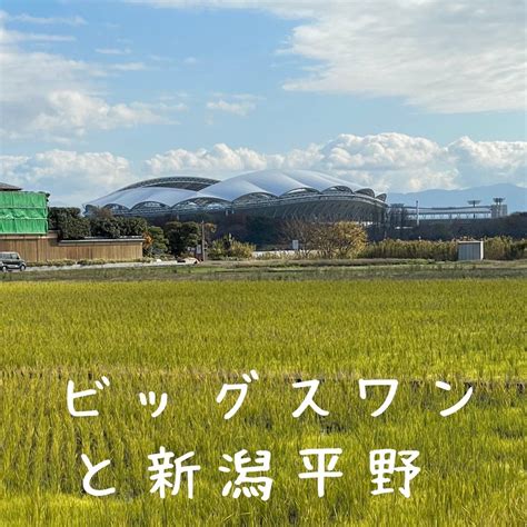 新潟市中央区 初心に戻って｜新潟市で不動産売却をお考えならにいがたの不動産