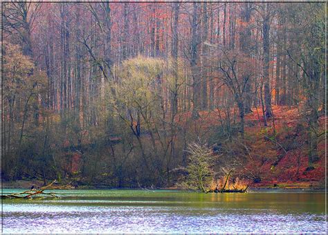 Paysage d hiver sans neige à voir en grand Flickr