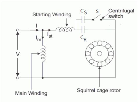 Squirrel Cage Induction Motor Circuit Diagram Wiring Diagram