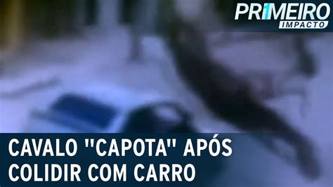 Flagra cavalo capota após bater em carro Primeiro Impacto 04 04