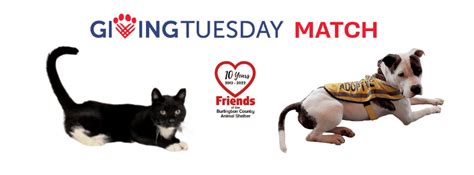 Giving Tuesday Friends Of The Burlington County Animal Shelter