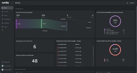 sysdig platform