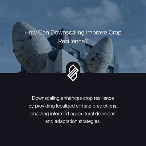 Crop Yields → Term