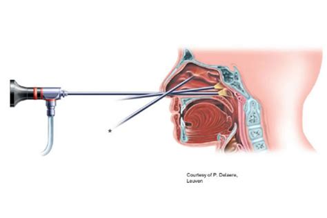 Nose specialist in Chembur, Mumbai