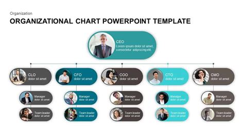 Organization Chart Powerpoint Diagrams Template For The Best Porn Website