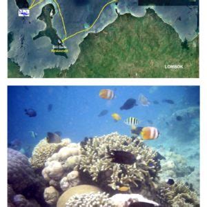 Snorkeling at Gili Air | The best snorkeling spots around Bali