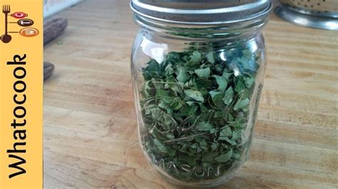 How To Dry Moringa Leaves Aka Drumstick Leaves Youtube