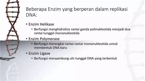 Substansi Materi Genetik Ppt