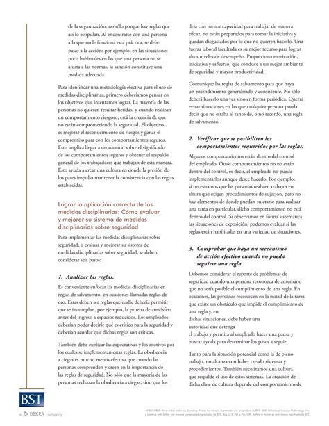 La Disciplina En La Seguridad PDF