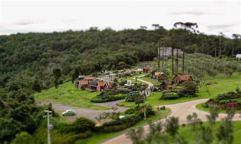 Parque Olivas De Gramado Atra O Para Toda A Fam Lia