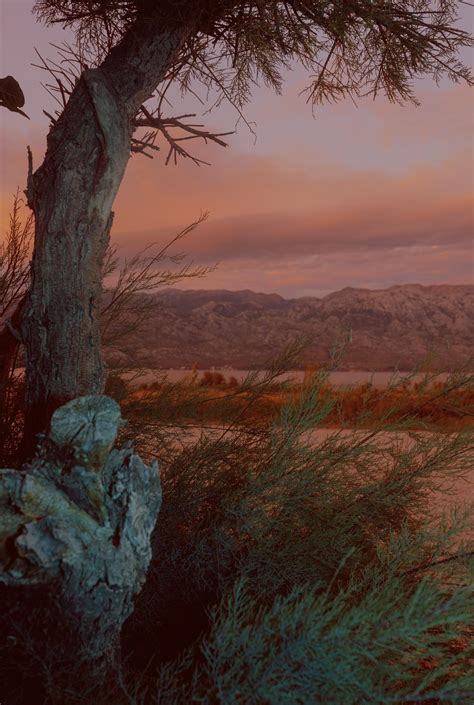 landscape layers : r/photographs 