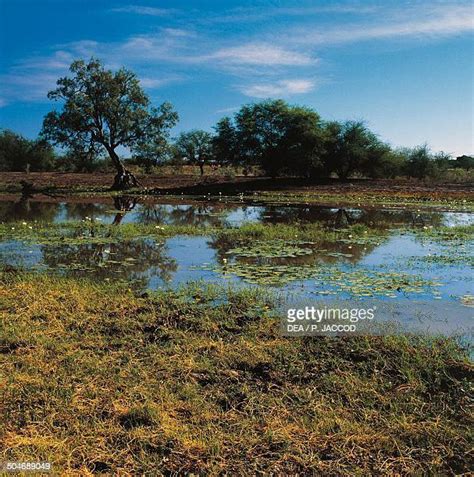 Camooweal Queensland Photos and Premium High Res Pictures - Getty Images