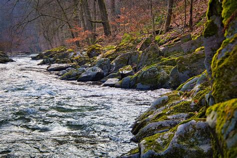 Fluss Schwarza Th Ringen Kostenloses Foto Auf Pixabay