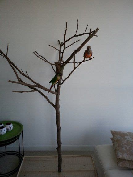 Diy Foraging Tree Stand Tree Stand Diy Bird Toys Parrot Stand