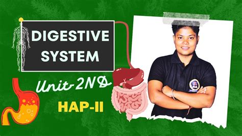 Digestive System In Hindi Unit 2nd HAP II Digestion