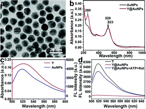 An Enzyme Free FRET Nanoprobe For Ultrasensitive Ketamine Detection