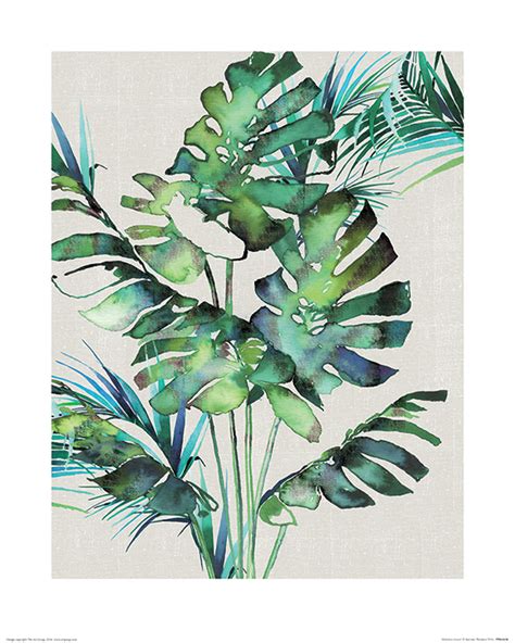 Summer Thornton (Monstera Leaves) Canvas Print | The Art Group