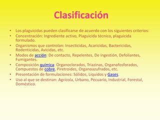 Quimica Plaguicidas PPT