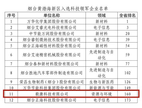 毅康科技获评“2022年度山东省科技领军企业”荣誉称号毅康科技有限公司