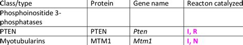 Phosphoinositide Phosphatases In Mammalian Genome Download Scientific Diagram