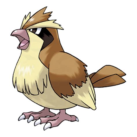 Pidgey has an extremely sharp sense of direction. It is capable of ...