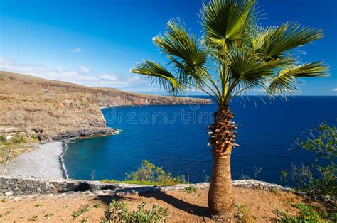 tropical landscape  la gomera island stock image image  canary