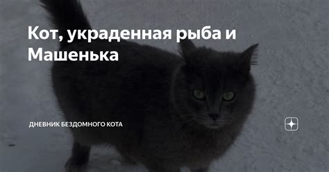 Кот, украденная рыба и Машенька | Дневник бездомного кота | Дзен
