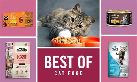 The Best Cat Food Of According To Cat Parents Like You Bechewy