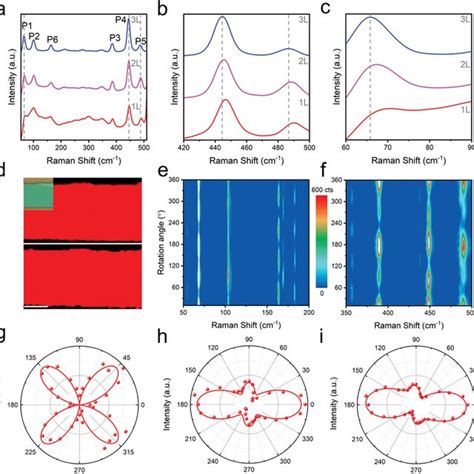 Layerdependent And Angleresolved Polarized Raman Spectra Of PdPS