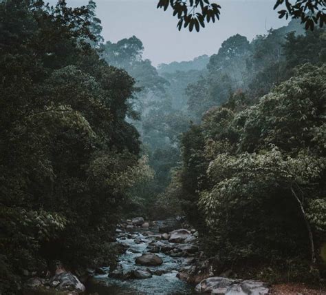 The Boiling River, Peru: Voracious Killer of Life that Falls Into it ...