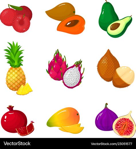 Tropical Exotic Fruits Set Icons Royalty Free Vector Image