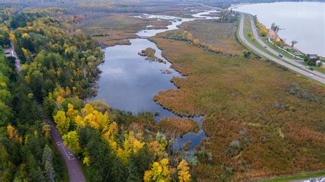 Climate change, overexploitation pose biodiversity risks in Wisconsin