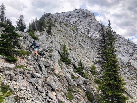 Banff Sulphur Mountain Guided Hike Getyourguide