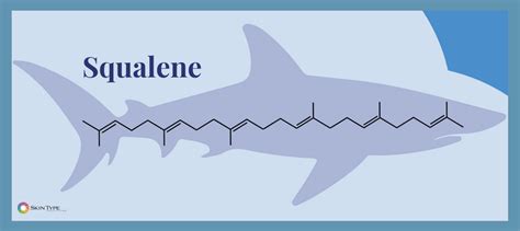 Squalene and Squalane in Skin Care Products – Skin Type Solutions