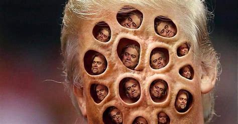 Trump Trypophobia Album On Imgur