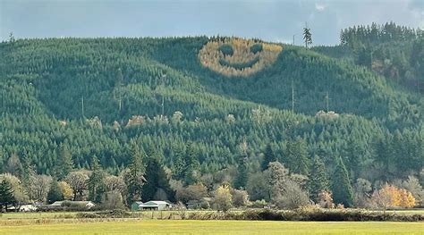 Massive smiley face of trees appears in Oregon every fall – Here's how ...