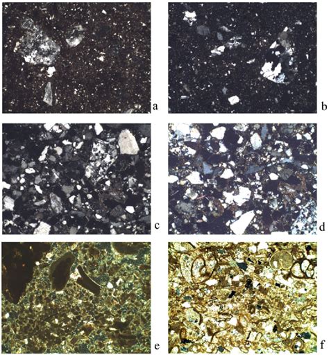 Thin Section Photomicrographs Of Selected Geological Samples From