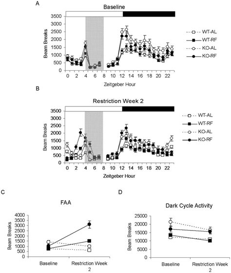 Ko Mice Exhibit Enhanced Food Anticipatory Activity In A Standard Ld