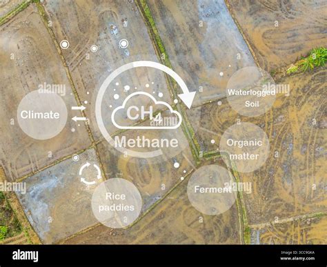 ch emission  res stock photography  images alamy