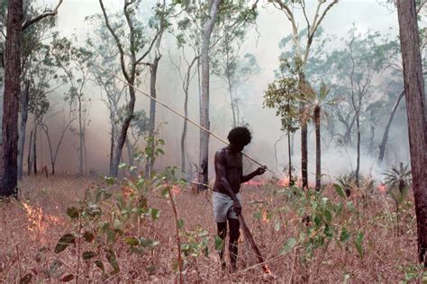 Indigenous Australians have managed land with fire for 11,000 years ...