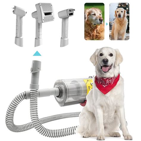 Dog Shedding Vacuum Attachment at Piper Armit blog
