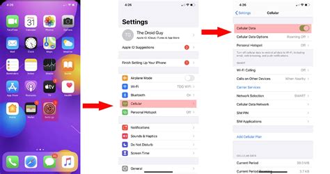 Enable Cellular Data Iphone Ios 13 Thecellguide