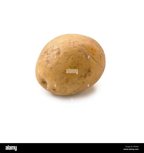yukon gold potato  res stock photography  images alamy