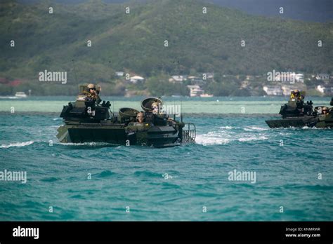 Marines With Combat Assault Company 3rd Marine Regiment Execute A Long Range Swim Training