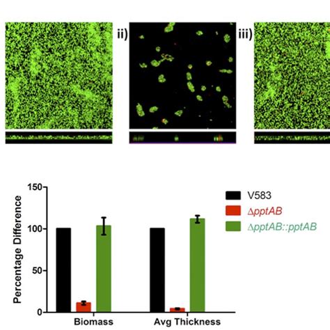 Mechanism Of Peptide Sex Pheromone Production And Secretion In
